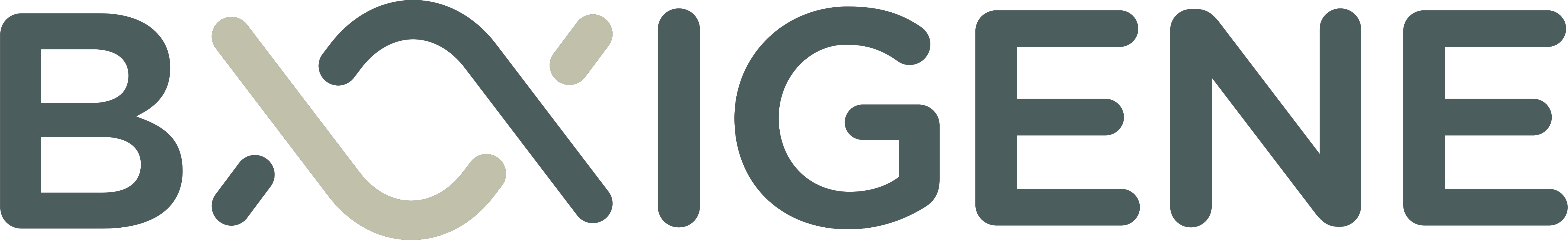 BAIGENE